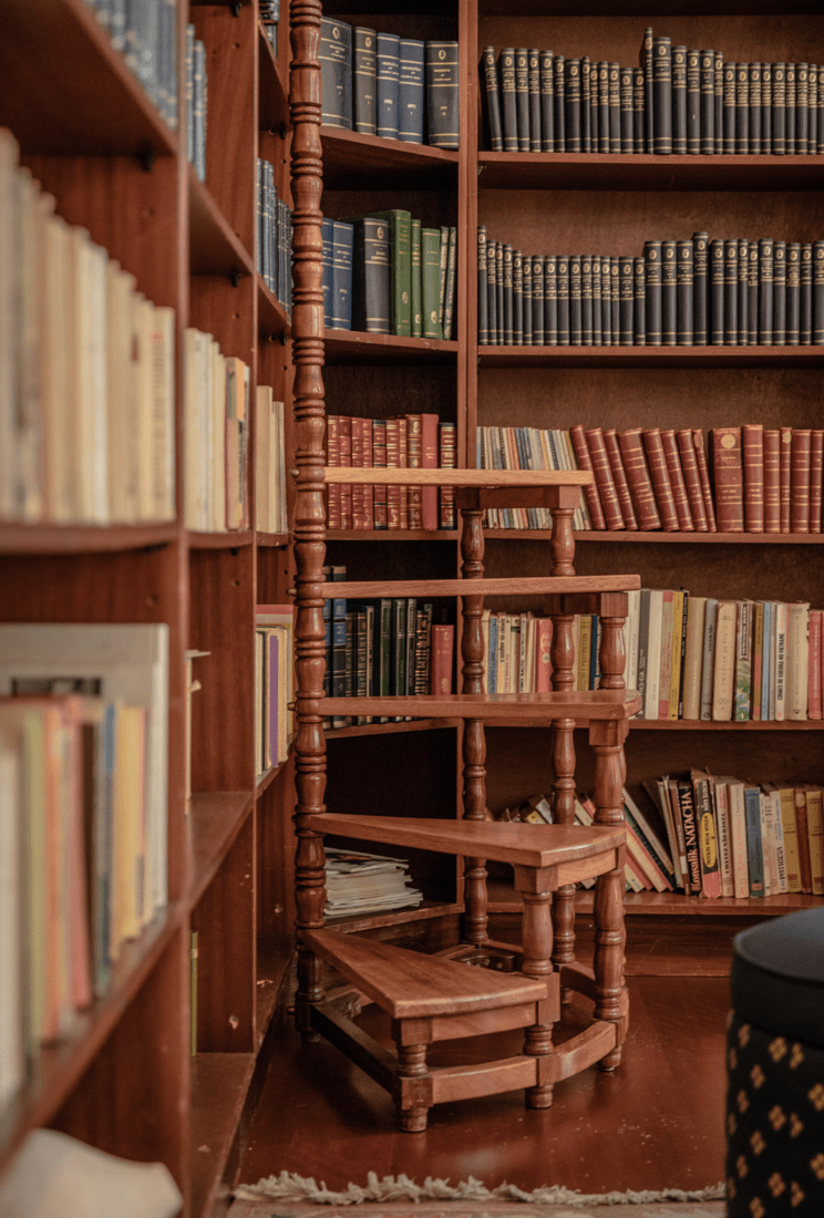 Comunidade – criação da Fundação Luso