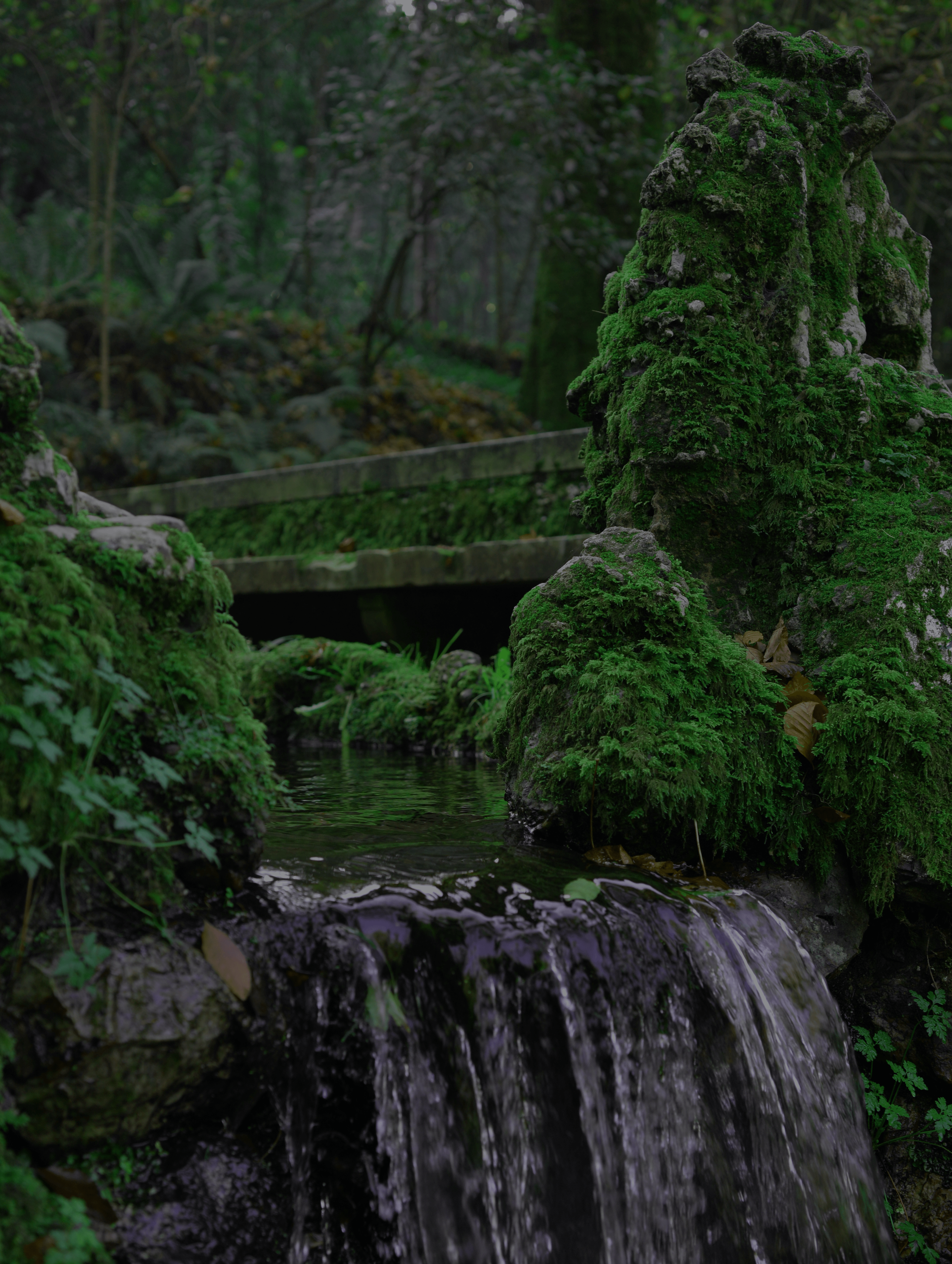 Serra Bussaco Agua Luso