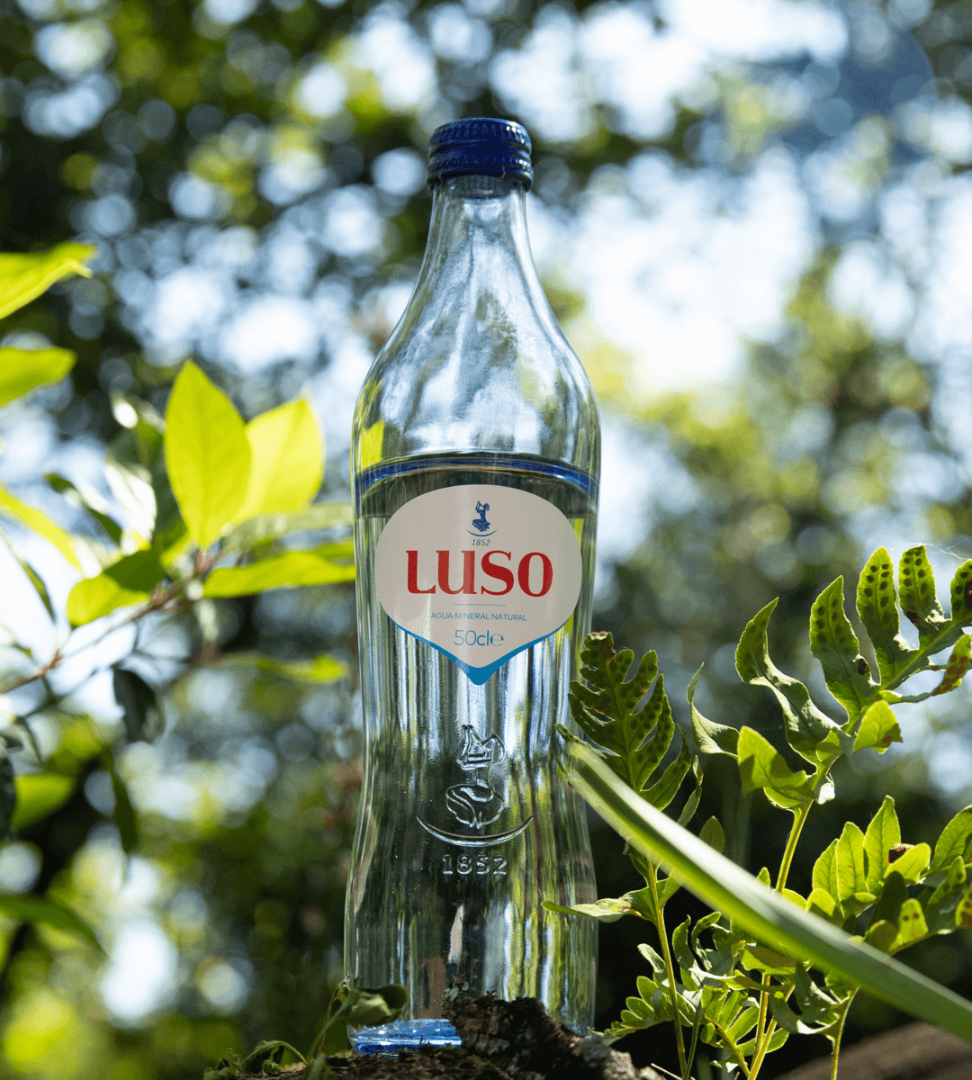 Ciclo Luso Sustentabilidade