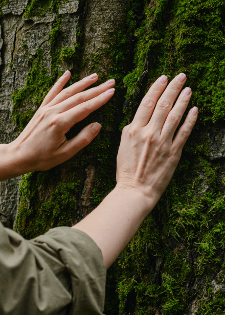 Pilares Luso – Responsabilidade Social