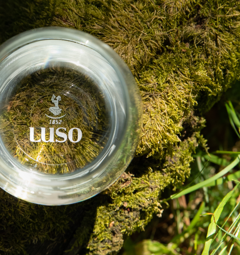 Iniciativas Sustentabilidade Ambiental Agua Luso