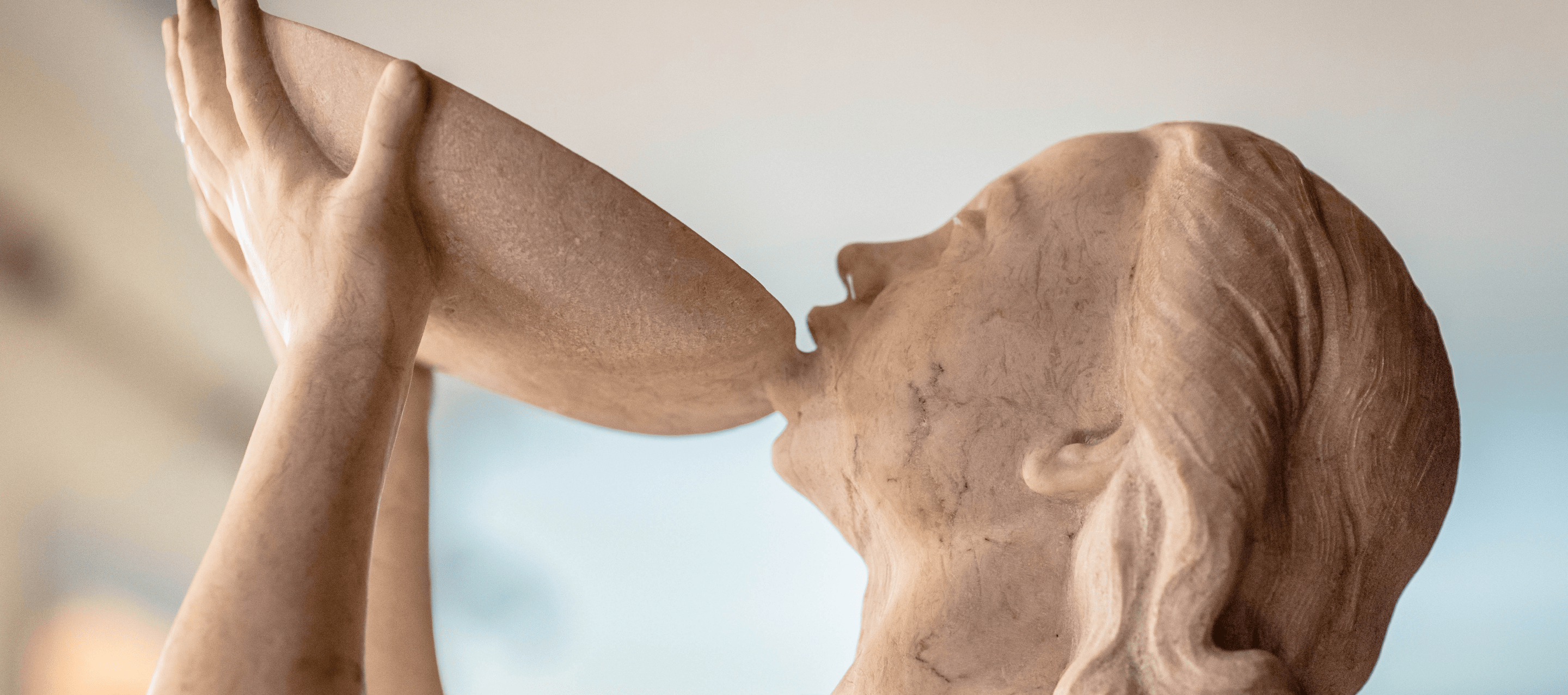 Promoção e desenvolvimento da Comunidade Luso