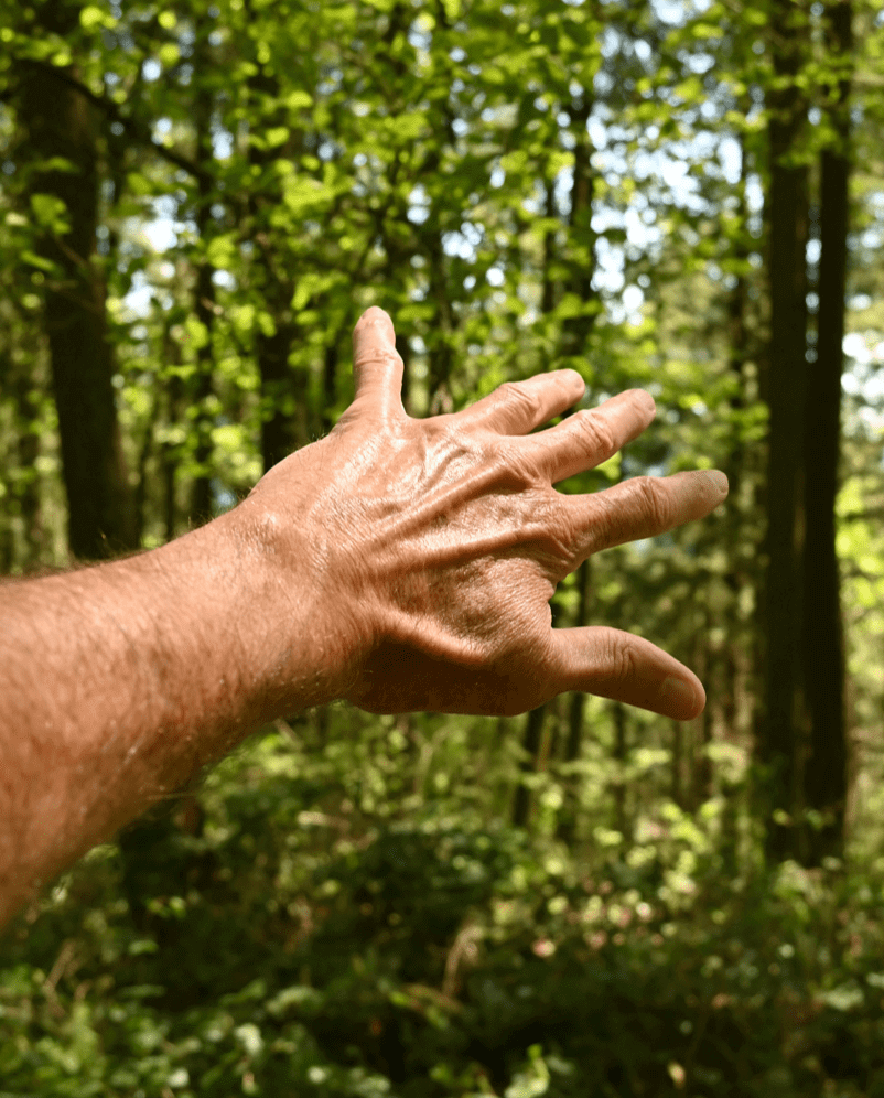 Sustentabilidade Ambiental – Água de Luso