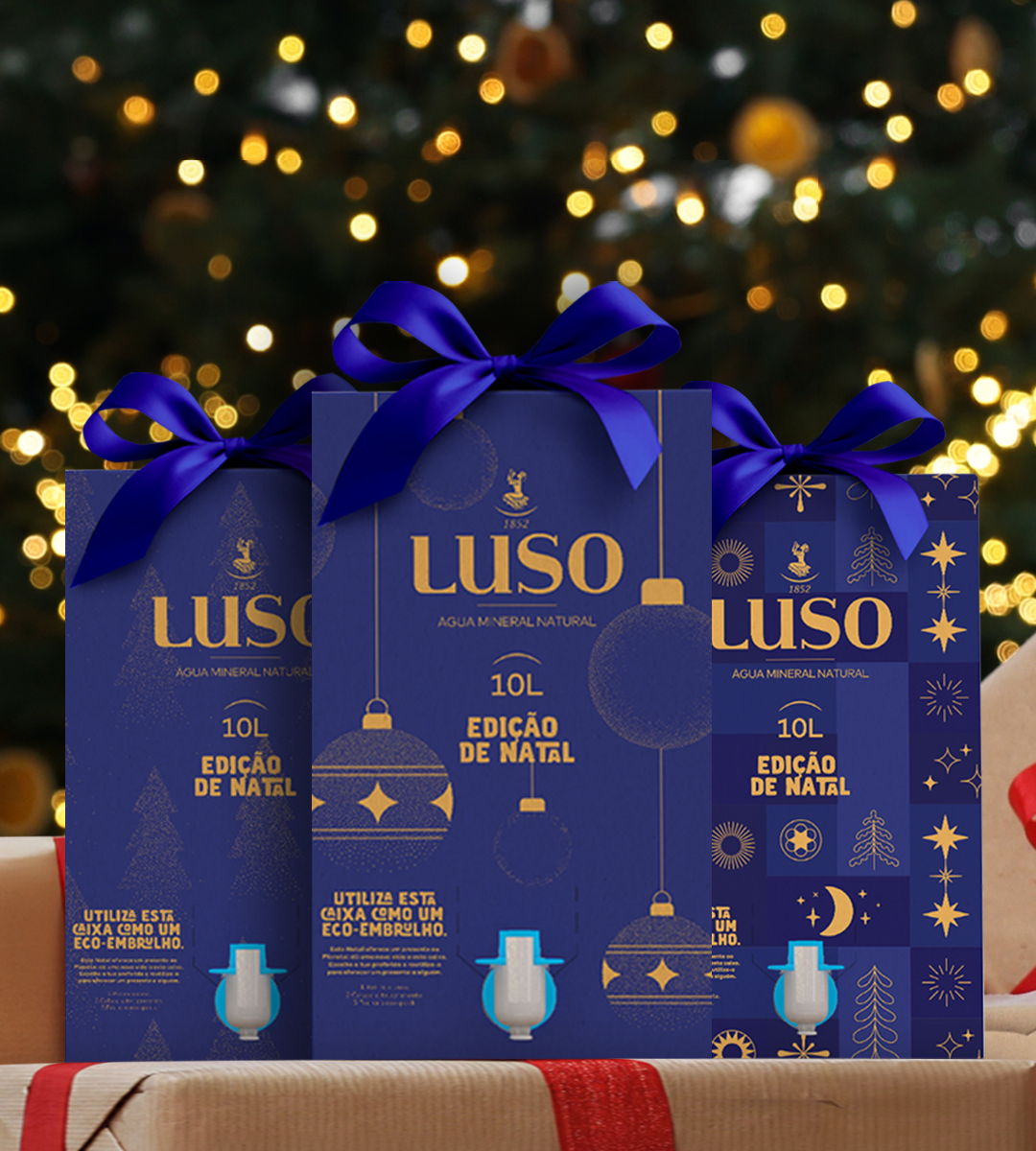 Card Blog Luso 540X600 V03